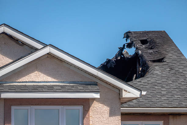 Top rated local Fire Board Up specialists in Luck, WI